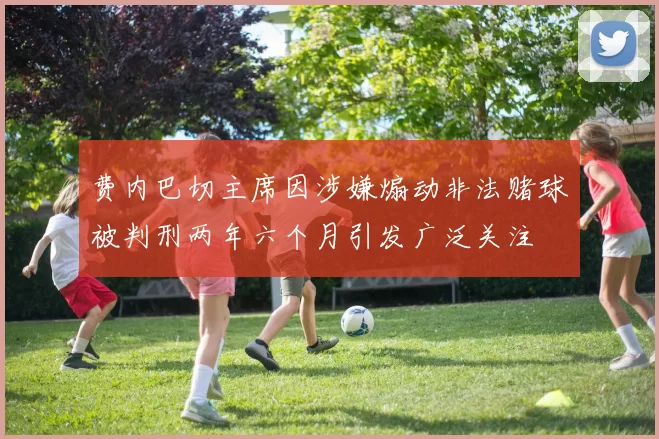 费内巴切主席因涉嫌煽动非法赌球被判刑两年六个月引发广泛关注