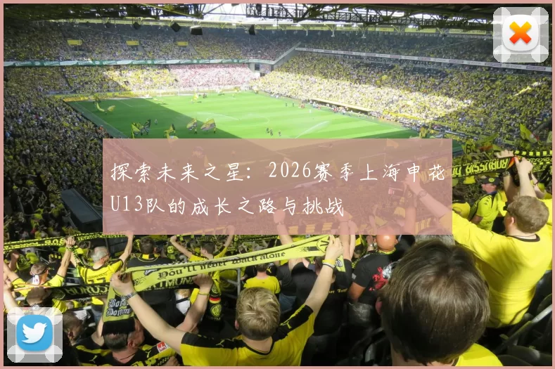 探索未来之星：2026赛季上海申花U13队的成长之路与挑战